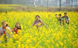 ظواهر فصل الربيع by esraa - Illustrated by اسراء ابو عرار - Ourboox.com