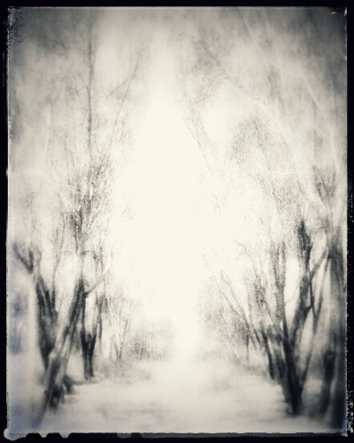 מחפש מעט מן האור by eliya w - Ourboox.com