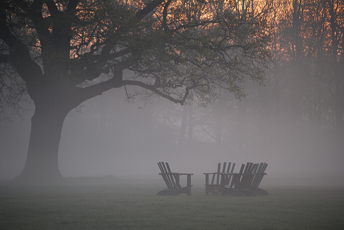 מחפש מעט מן האור by eliya w - Ourboox.com