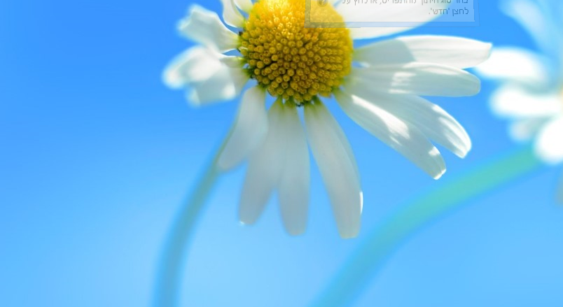 הקשר הרב דורי by nechama - Ourboox.com