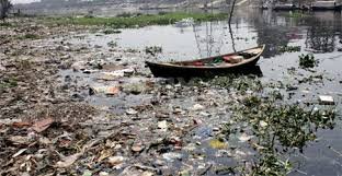 البيئة by haneen - Illustrated by حنين مصاروة  - Ourboox.com