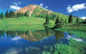 البيئة by haneen - Illustrated by حنين مصاروة  - Ourboox.com