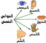 الحواس الخمس by alaa mhagna - Illustrated by الاء اغبارية  - Ourboox.com