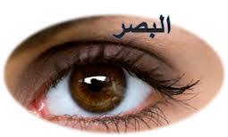 الحواس الخمس by alaa mhagna - Illustrated by الاء اغبارية  - Ourboox.com