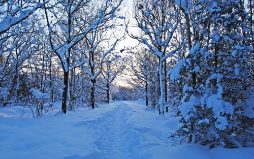 ספר דגיטלי by faisal alzeadna - Ourboox.com