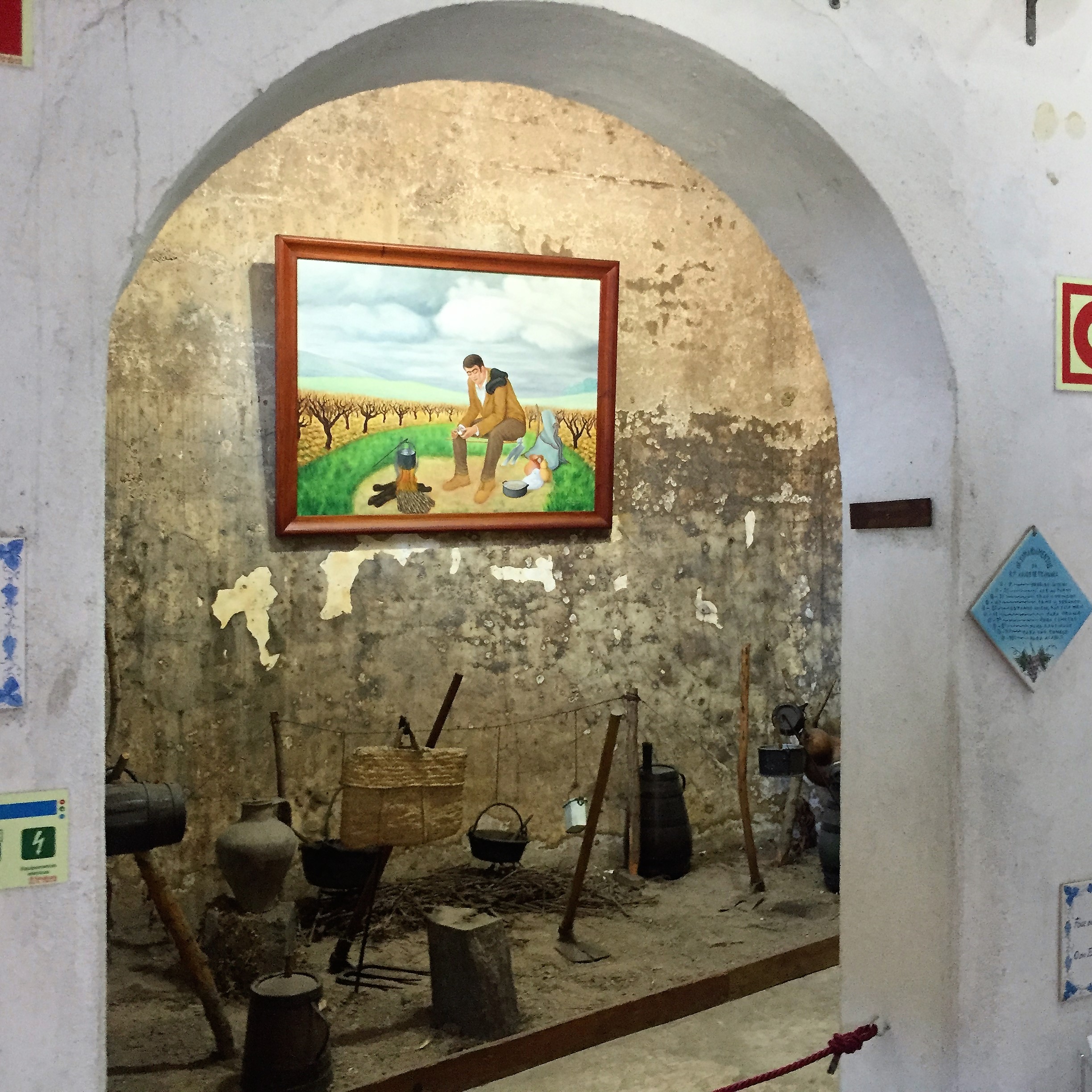 Morning Walk in Alcobaça – Kinnernet Portugal 2017 by Mel Rosenberg - מל רוזנברג - Ourboox.com