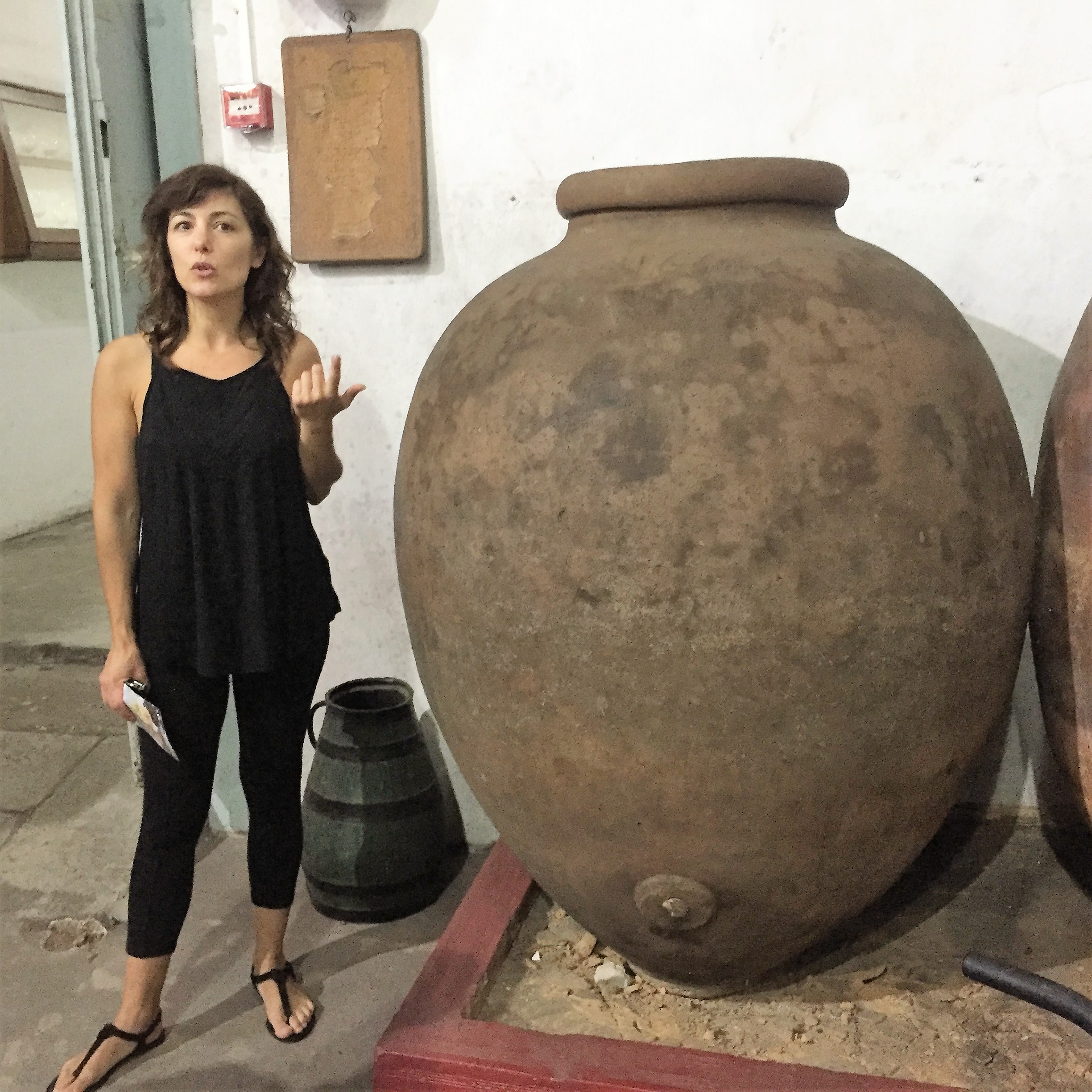 Morning Walk in Alcobaça – Kinnernet Portugal 2017 by Mel Rosenberg - מל רוזנברג - Ourboox.com