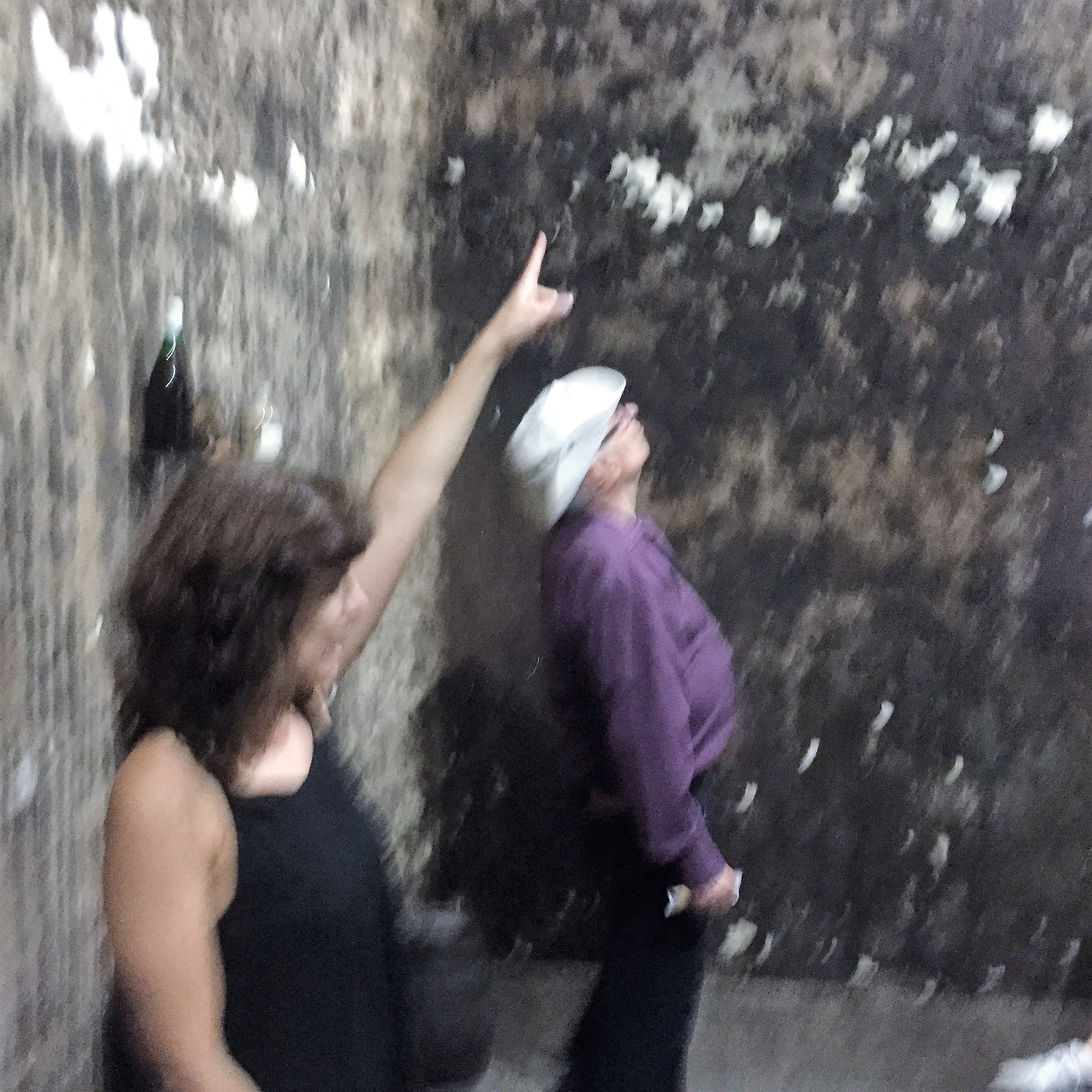 Morning Walk in Alcobaça – Kinnernet Portugal 2017 by Mel Rosenberg - מל רוזנברג - Ourboox.com