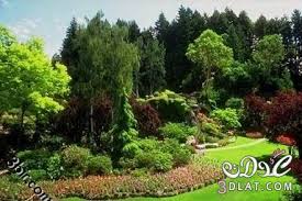 النباتات by tamam abo rabeaa - Illustrated by تمام ابو ربيعه - Ourboox.com