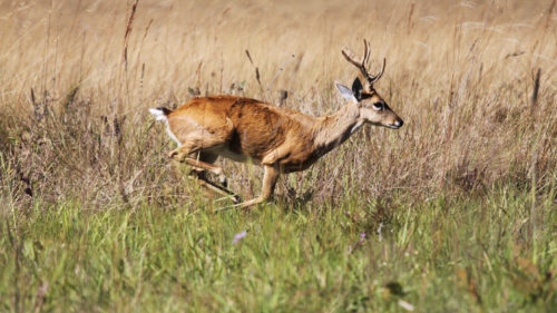 המישפחה והטיול by Lehava Or Yehuda - Ourboox.com