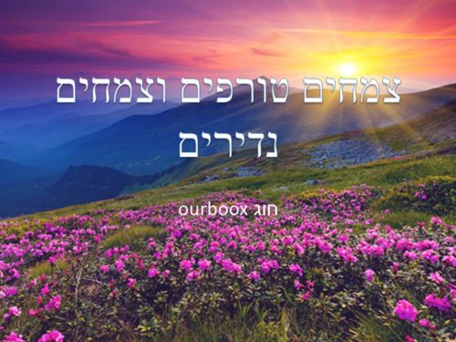 צמחים טורפים וצמחים נדירים by Lehava Or Yehuda - Ourboox.com