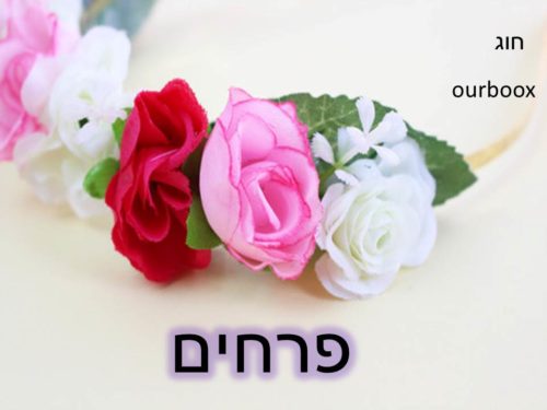 פרחים יפים by Lehava Or Yehuda - Ourboox.com