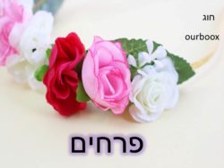 פרחים by Lehava Or Yehuda - Ourboox.com