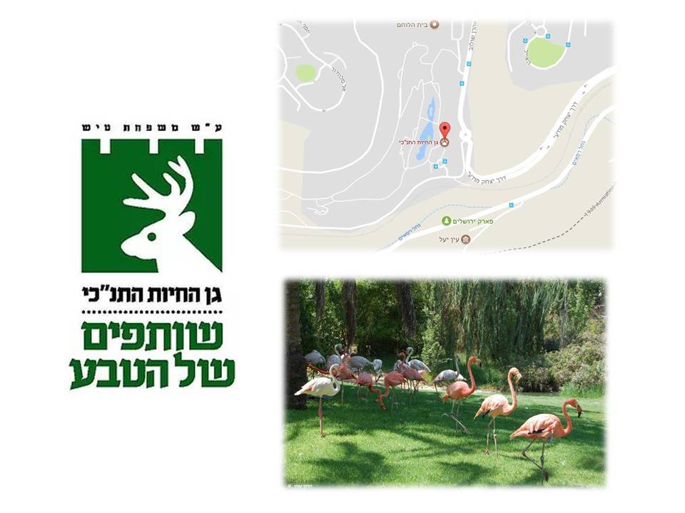 חדשות ירושלים by Tzipi Bar Tov - Illustrated by ציפי בר-טוב - Ourboox.com