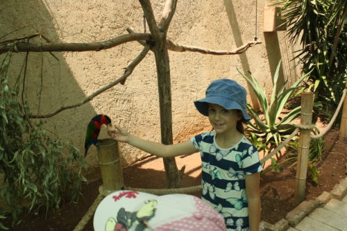 ירושלים שלי by ADERET - Ourboox.com