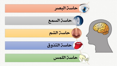 الحواس الخمس by heba - Ourboox.com