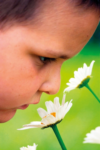 الحواس الخمس by heba - Ourboox.com