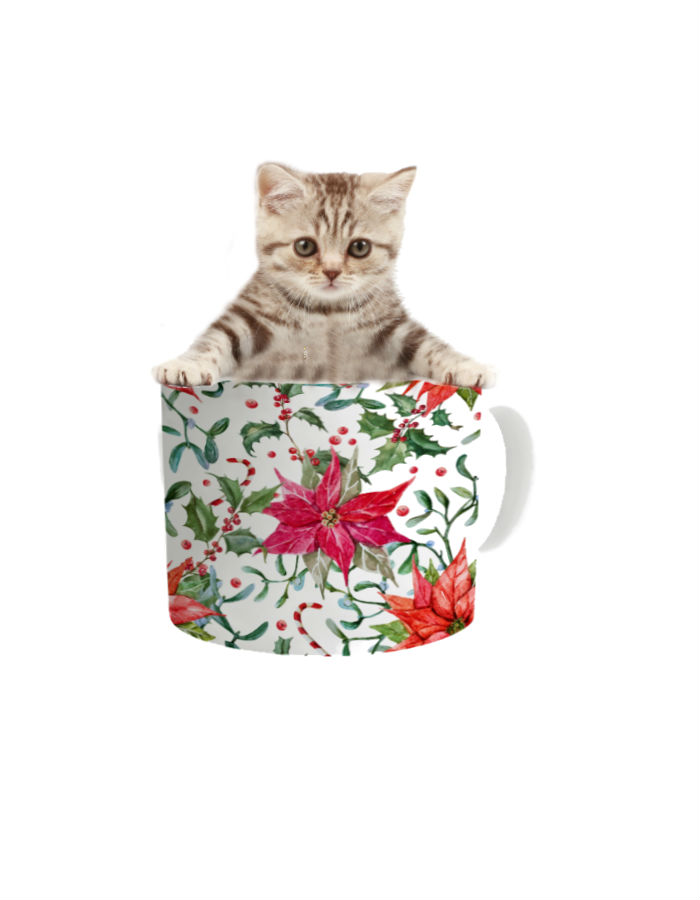 PIXLR by tatyana - Ourboox.com