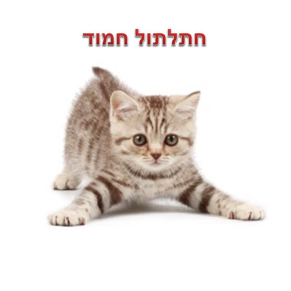 PIXLR by tatyana - Ourboox.com