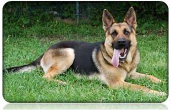 هذا الكتاب مخصص للأطفال by lina - Ourboox.com