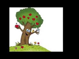 أجزاء النبات by huda - Ourboox.com