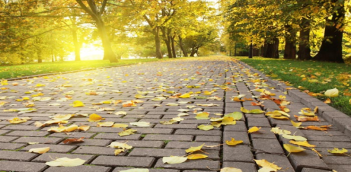 فصل الخريف by ruba - Ourboox.com