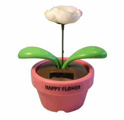 أجزاء النبات by huda - Ourboox.com