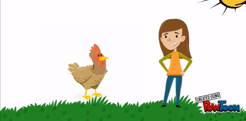 حيوانات المزرعة by nadineabudalu - Illustrated by Nadine Abu Dalu - Ourboox.com