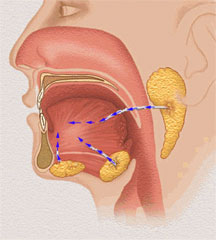 The book of miths by liron zaretsky - Illustrated by לירון גדות - Ourboox.com