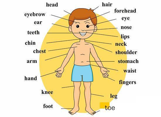 أنا وجسمي by nisreennasrallh - Illustrated by سيرين نصر الله  - Ourboox.com