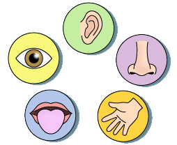 أنا وجسمي by nisreennasrallh - Illustrated by سيرين نصر الله  - Ourboox.com