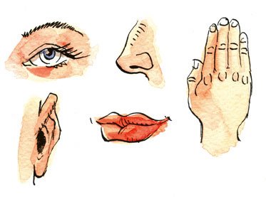 الحواس الخمسة by alaa abutair - Ourboox.com