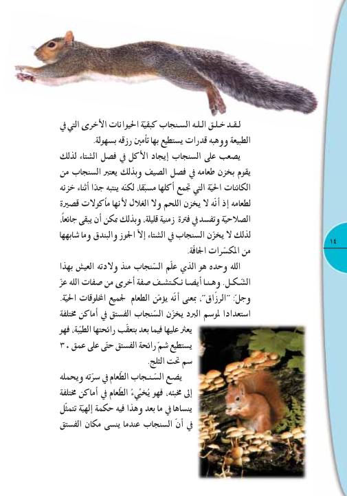 عالم الحيوان by hiba-idkaidik - Ourboox.com