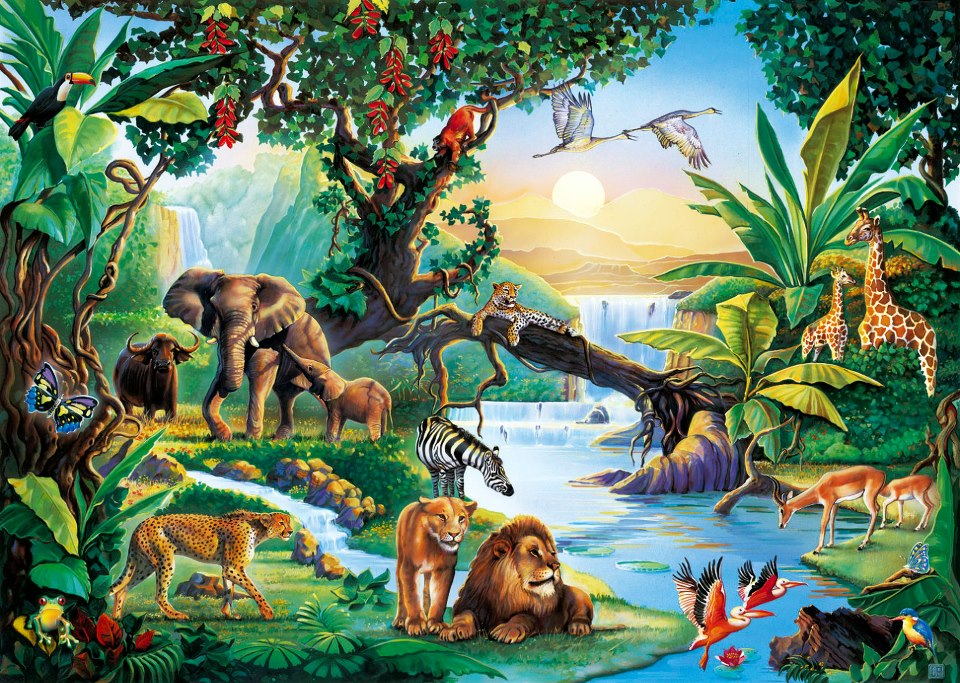 عالم الحيوان by hiba-idkaidik - Ourboox.com