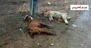 الاطعمة والاشربة.. by inas jalajel - Illustrated by الاطعمه والاشربه - Ourboox.com