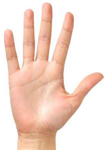 الحواس الخمس by alaa abutair - Ourboox.com