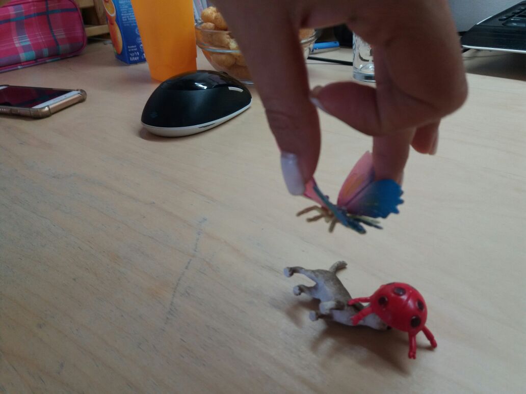 קלי הפרפרית, זואי החתולה וארי החיפושית by liei - Ourboox.com