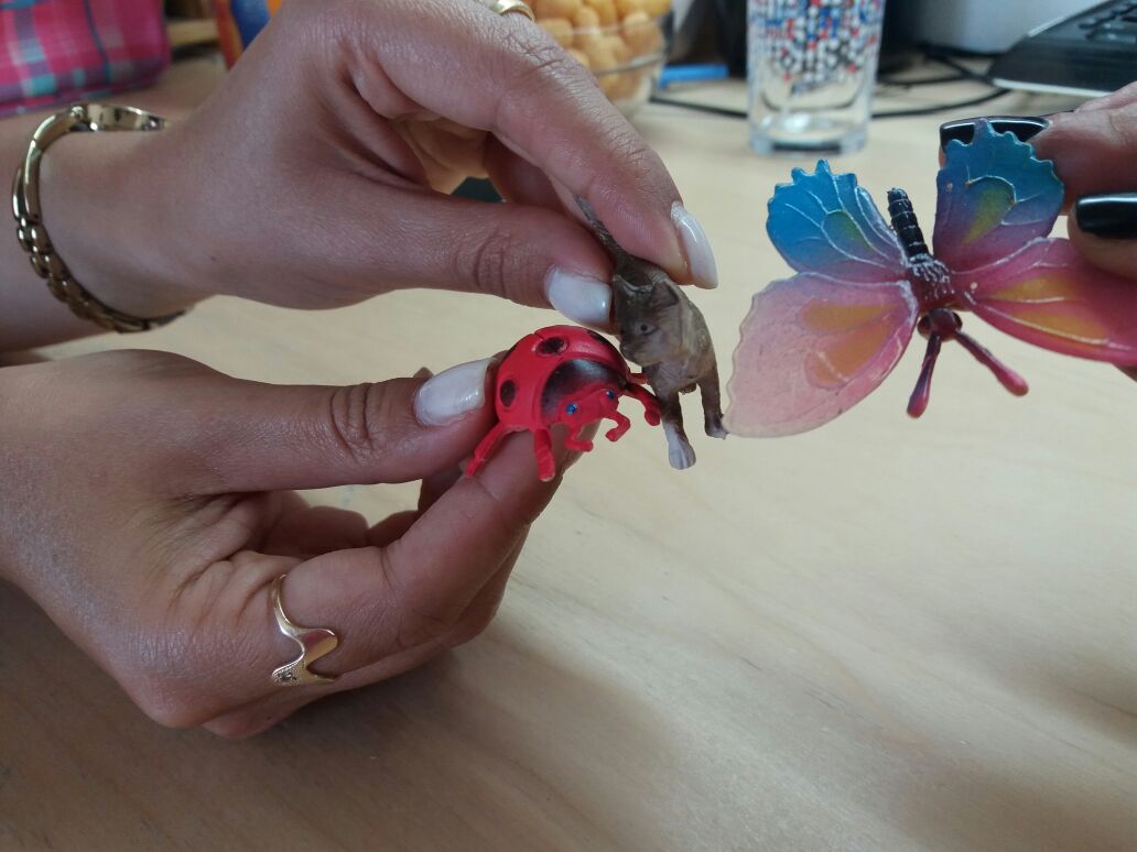 קלי הפרפרית, זואי החתולה וארי החיפושית by liei - Ourboox.com