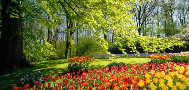 فصل الربيع by ruba - Ourboox.com