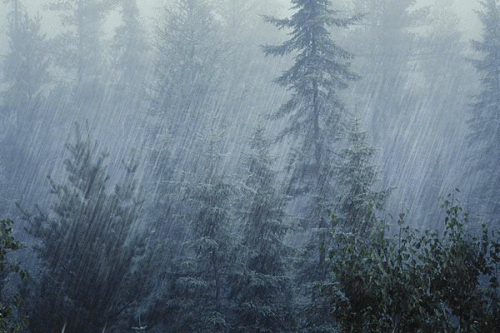 فصل الشتاء by ranin khourbatli - Illustrated by المعلمة رنين خربطلي - Ourboox.com