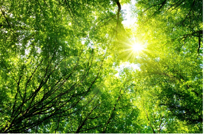 Літечко прийшло by oliynik - Illustrated by Оповідання - Ourboox.com