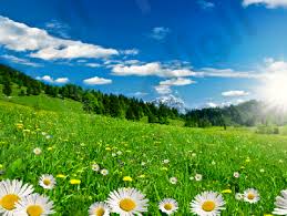 فصل الربيع by dema - Ourboox.com