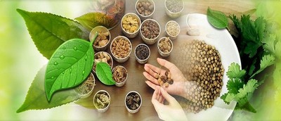 النباتات الطبية by mohammad - Ourboox.com