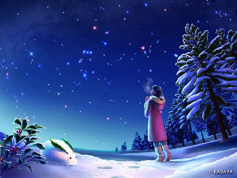 The Girl Who Missed Christmass by Bertel Natalia - Ourboox.com