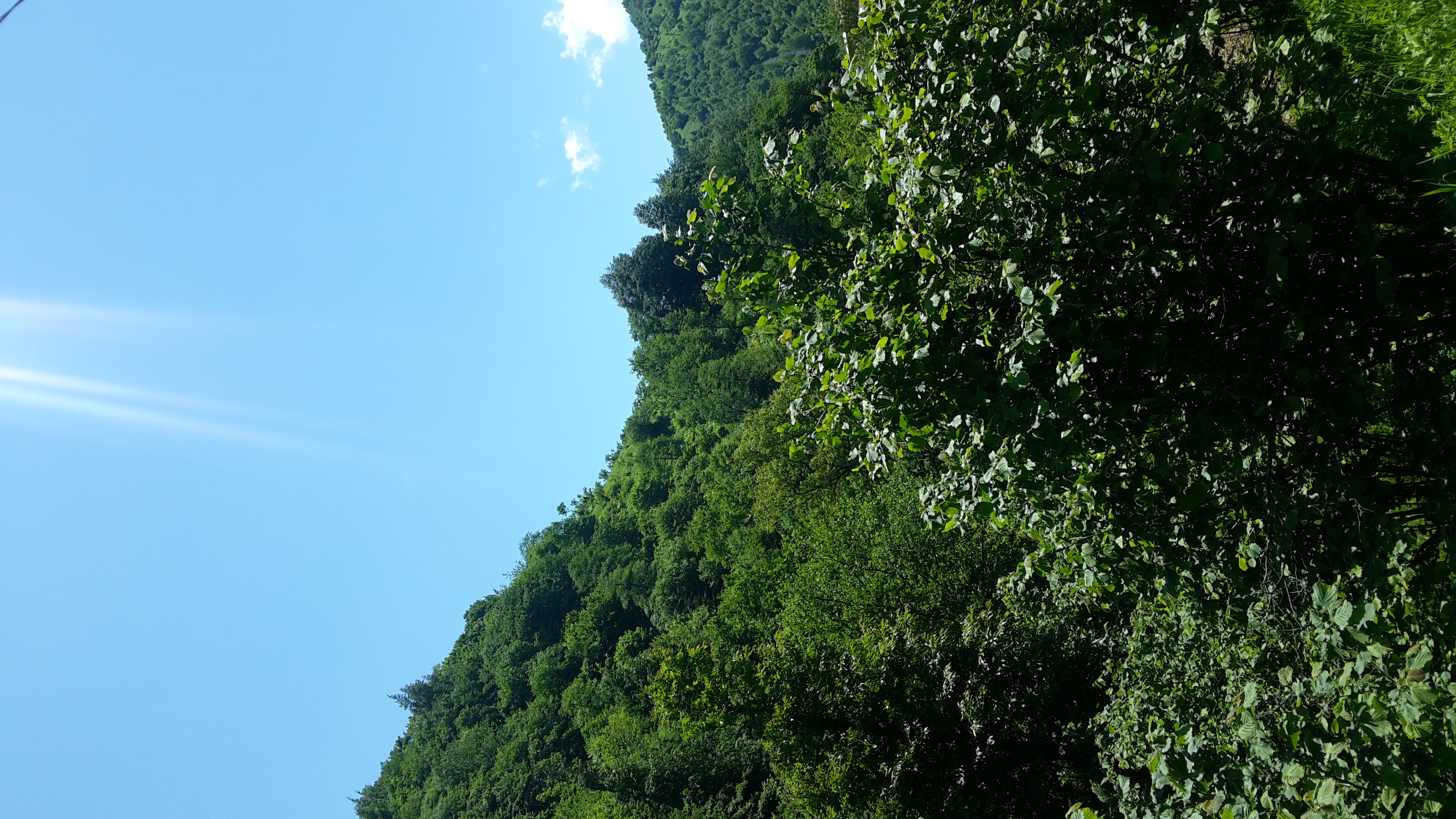 deneme by Çağla BİRGÜL - Ourboox.com