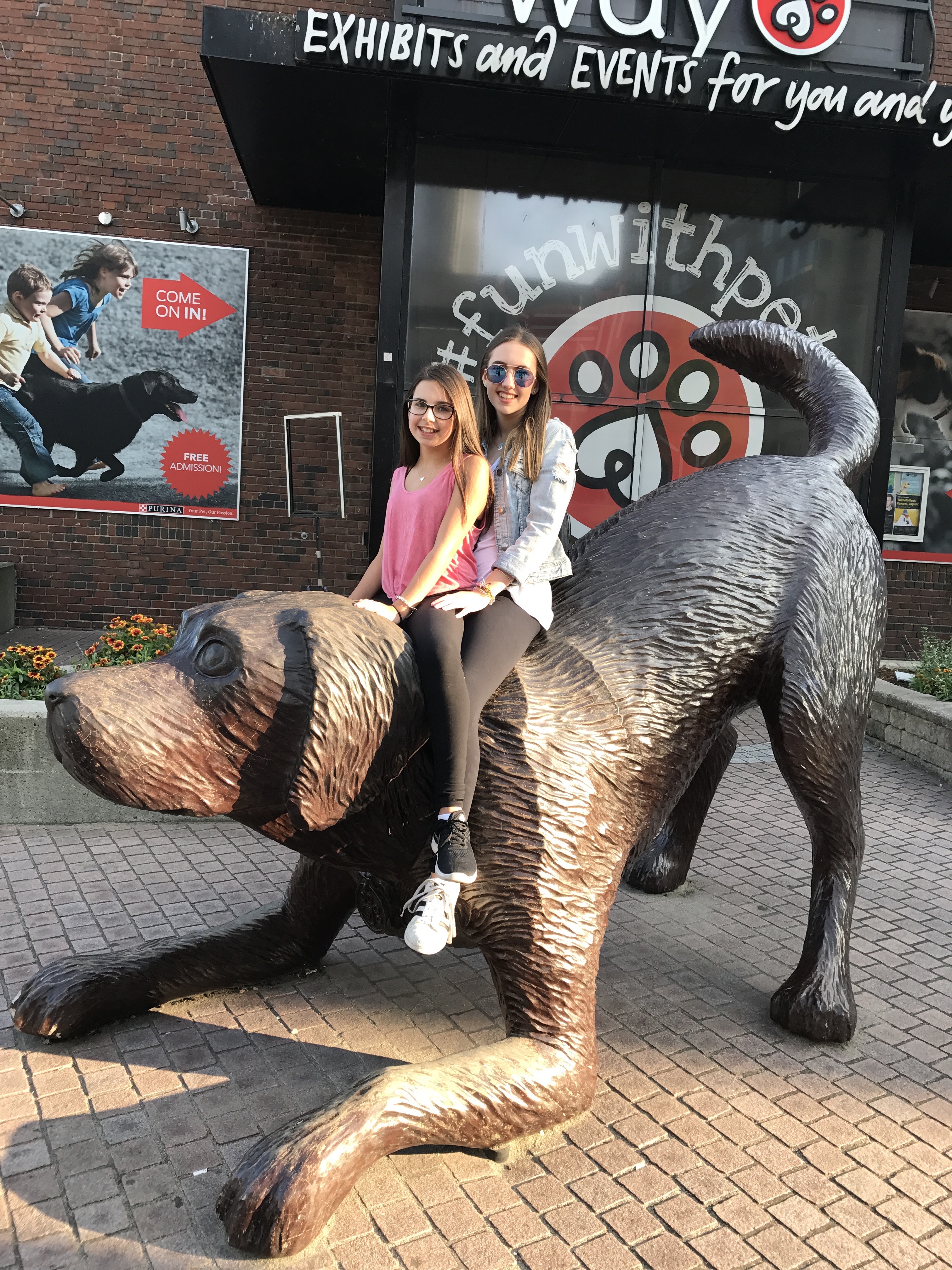 Happy 20th Anniversary! by Talia Cohen - Ourboox.com