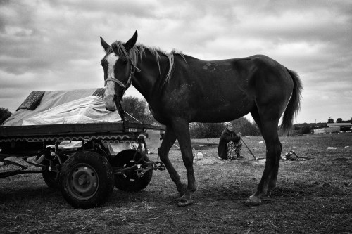 il mio viaggio in Turchia by LAURA - Illustrated by PARO - Ourboox.com