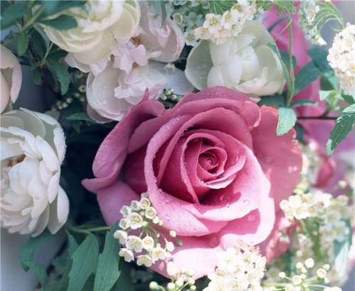 الزهور البرية by tasneem sh najdi - Illustrated by تسنيم نجدي - Ourboox.com