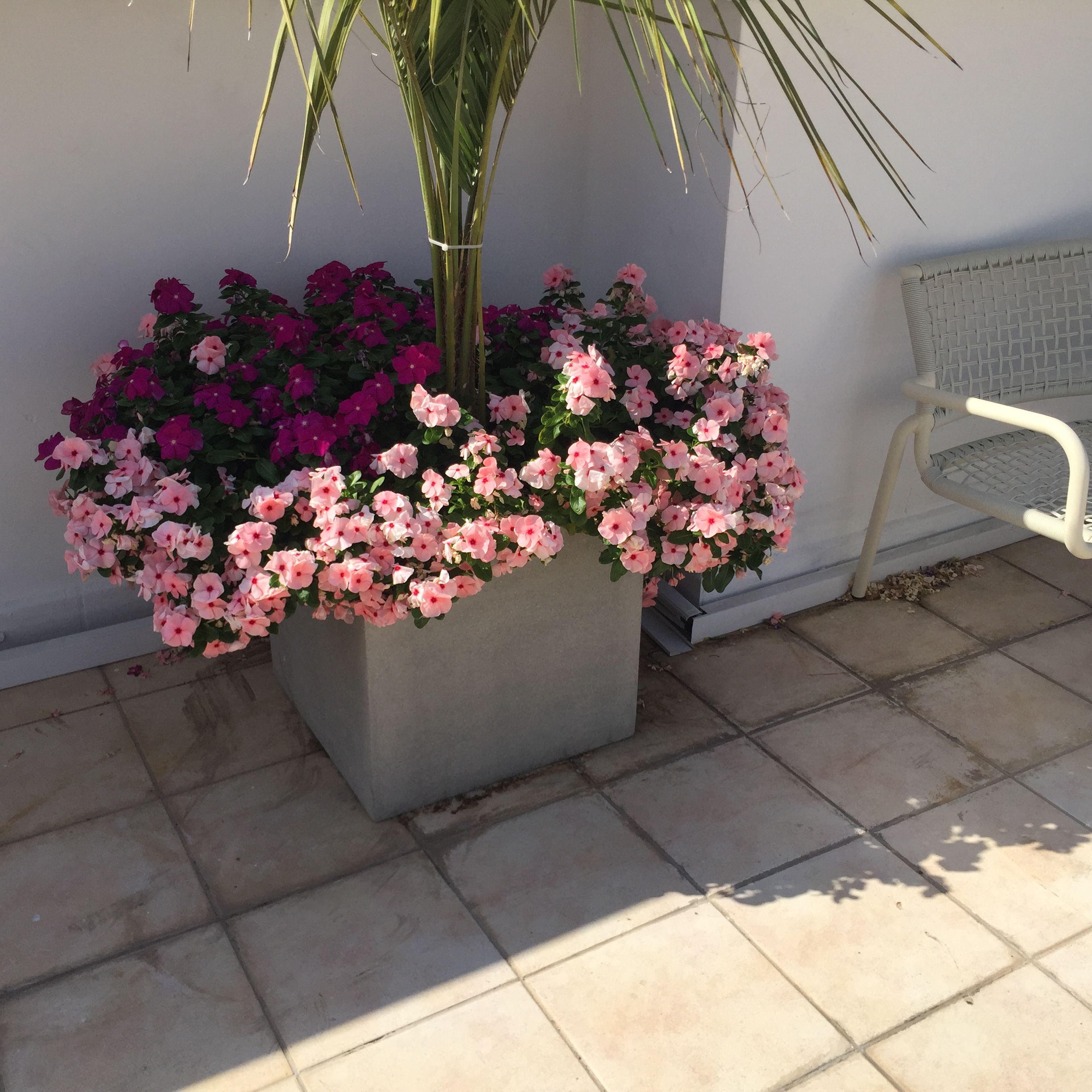 Rooftop at Shenkar – September, 2017 by Mel Rosenberg - מל רוזנברג - Ourboox.com