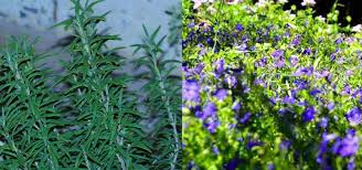 الحضارة العربية by nereendana - Illustrated by nereendana - Ourboox.com